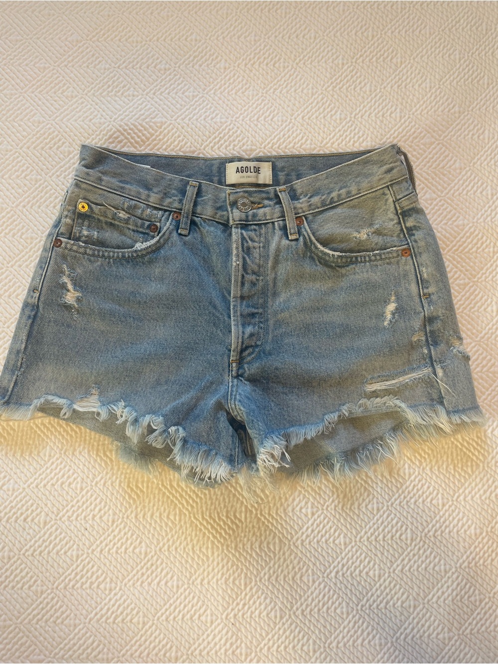 AGOLDE Parker Vintage Cut Off  Short